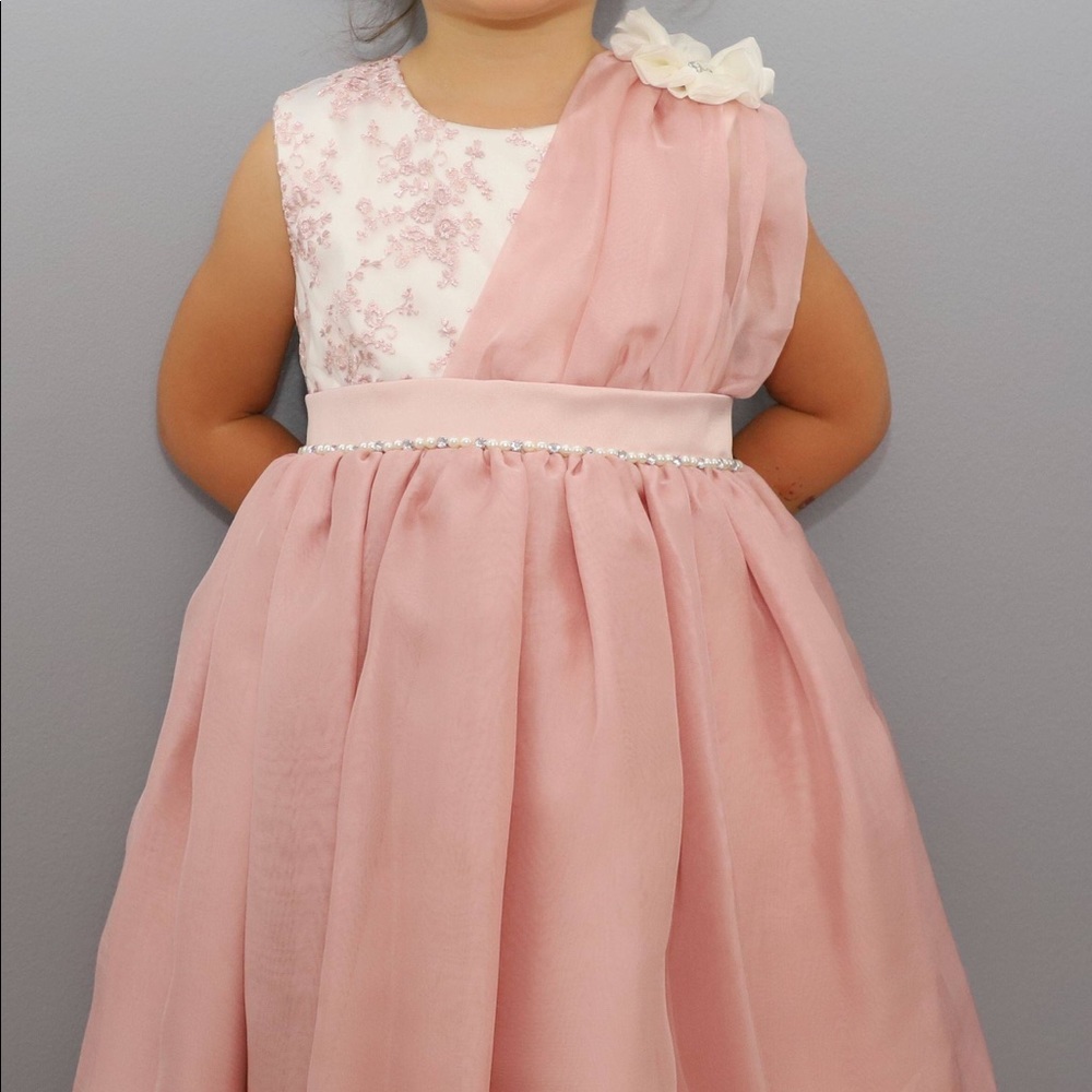 Powder rose silk veil and taffeta formal dress
